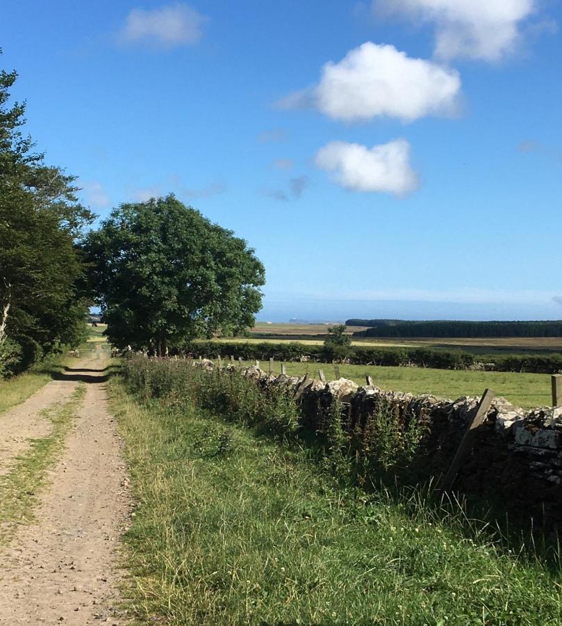 Caithness View Luxury Farm Lodges And Bbq Huts Wick (Highlands) Exterior foto