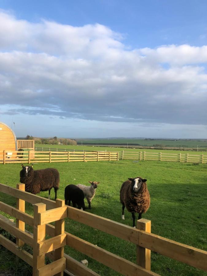 Caithness View Luxury Farm Lodges And Bbq Huts Wick (Highlands) Exterior foto