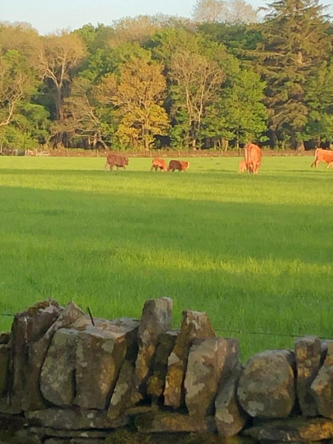 Caithness View Luxury Farm Lodges And Bbq Huts Wick (Highlands) Exterior foto