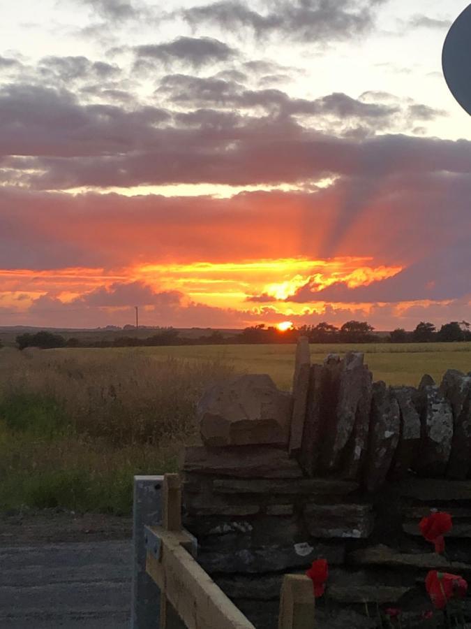 Caithness View Luxury Farm Lodges And Bbq Huts Wick (Highlands) Exterior foto